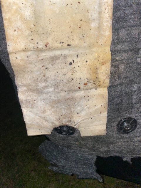 IMG_7093.jpg IMG_7093.jpg