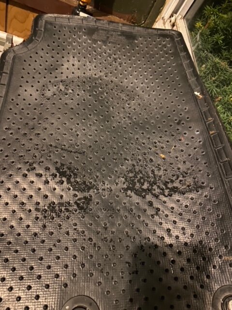 IMG_7094.jpg IMG_7094.jpg