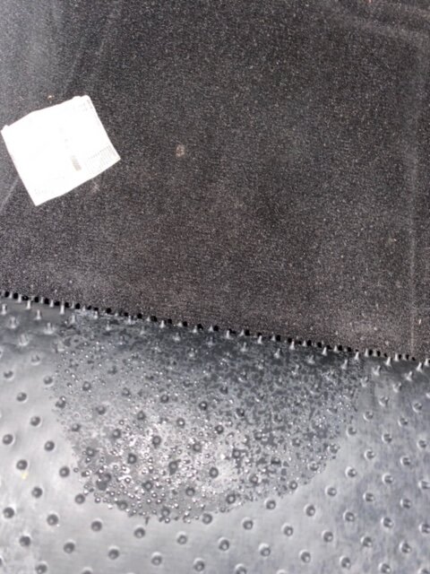 IMG_7095.jpg IMG_7095.jpg