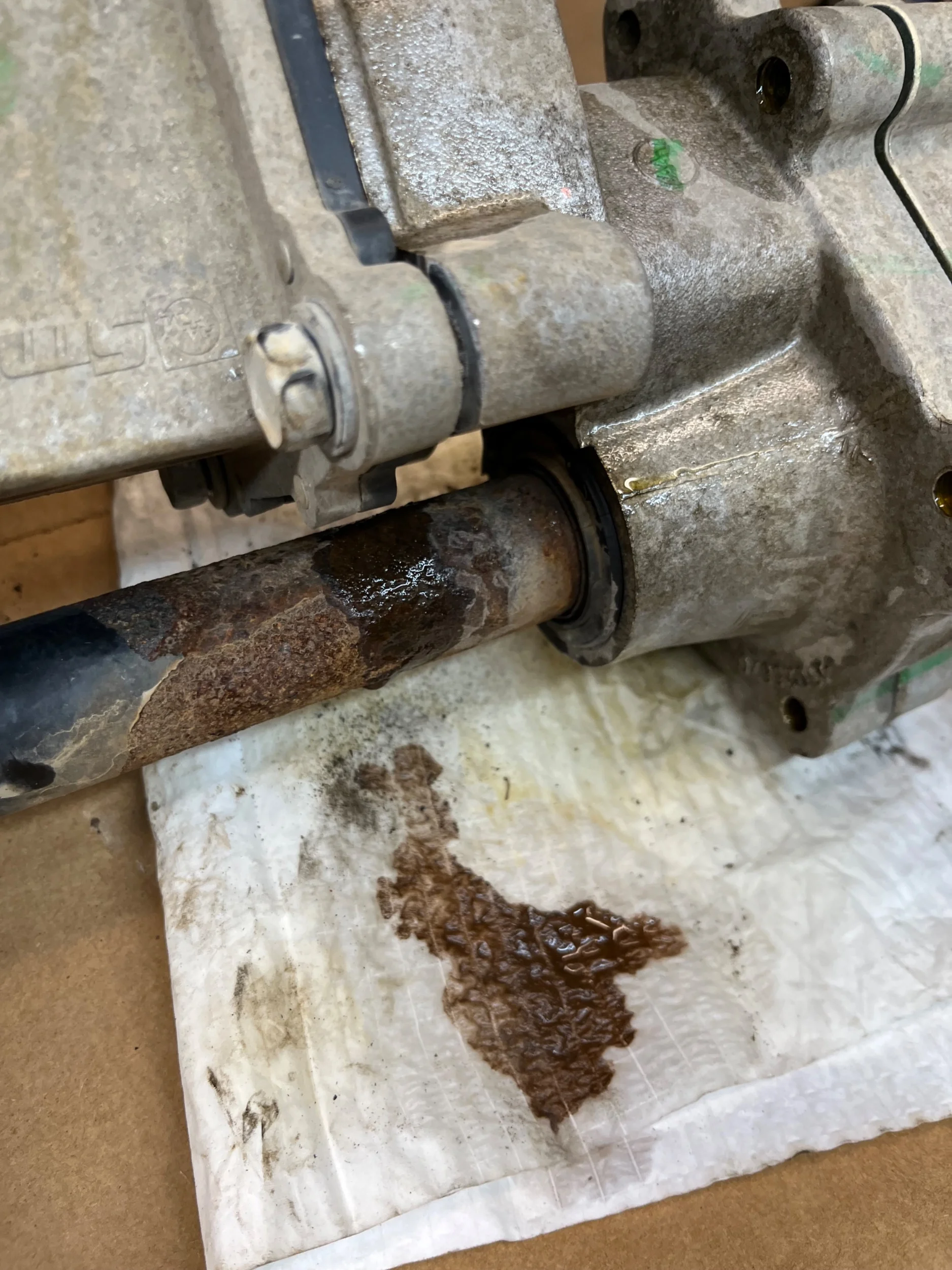 IMG_7137.webp