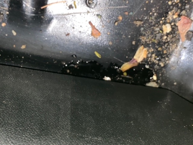 IMG_7155.jpg IMG_7155.jpg