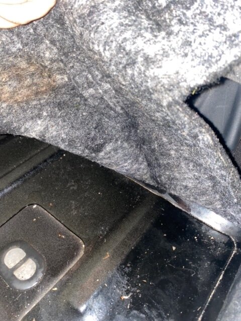 IMG_7162.jpg IMG_7162.jpg