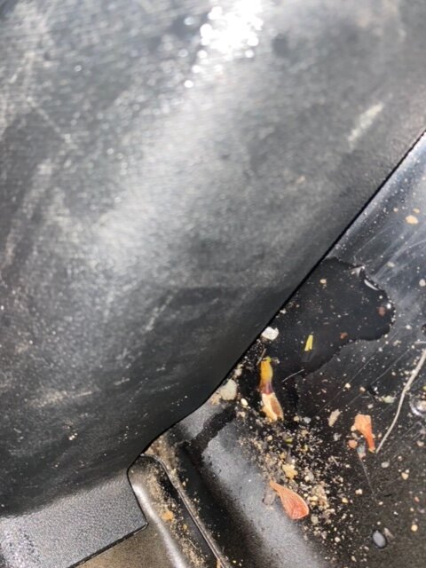 IMG_7168.jpg IMG_7168.jpg