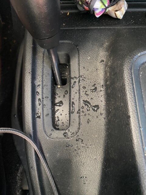 IMG_7183.jpg IMG_7183.jpg