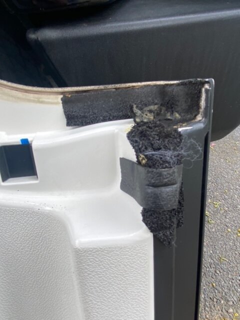 IMG_7306.jpg IMG_7306.jpg