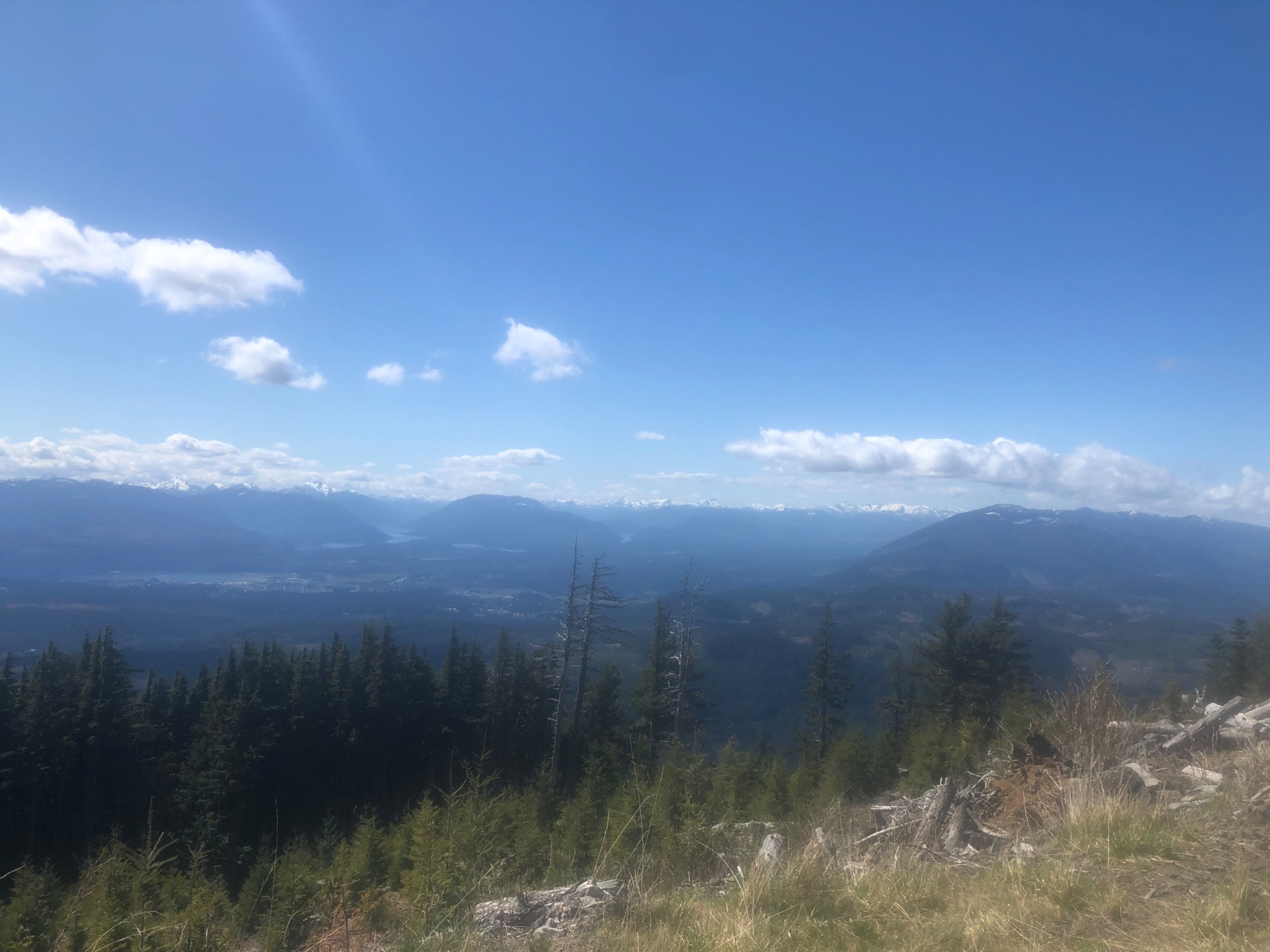 IMG_8971.jpeg