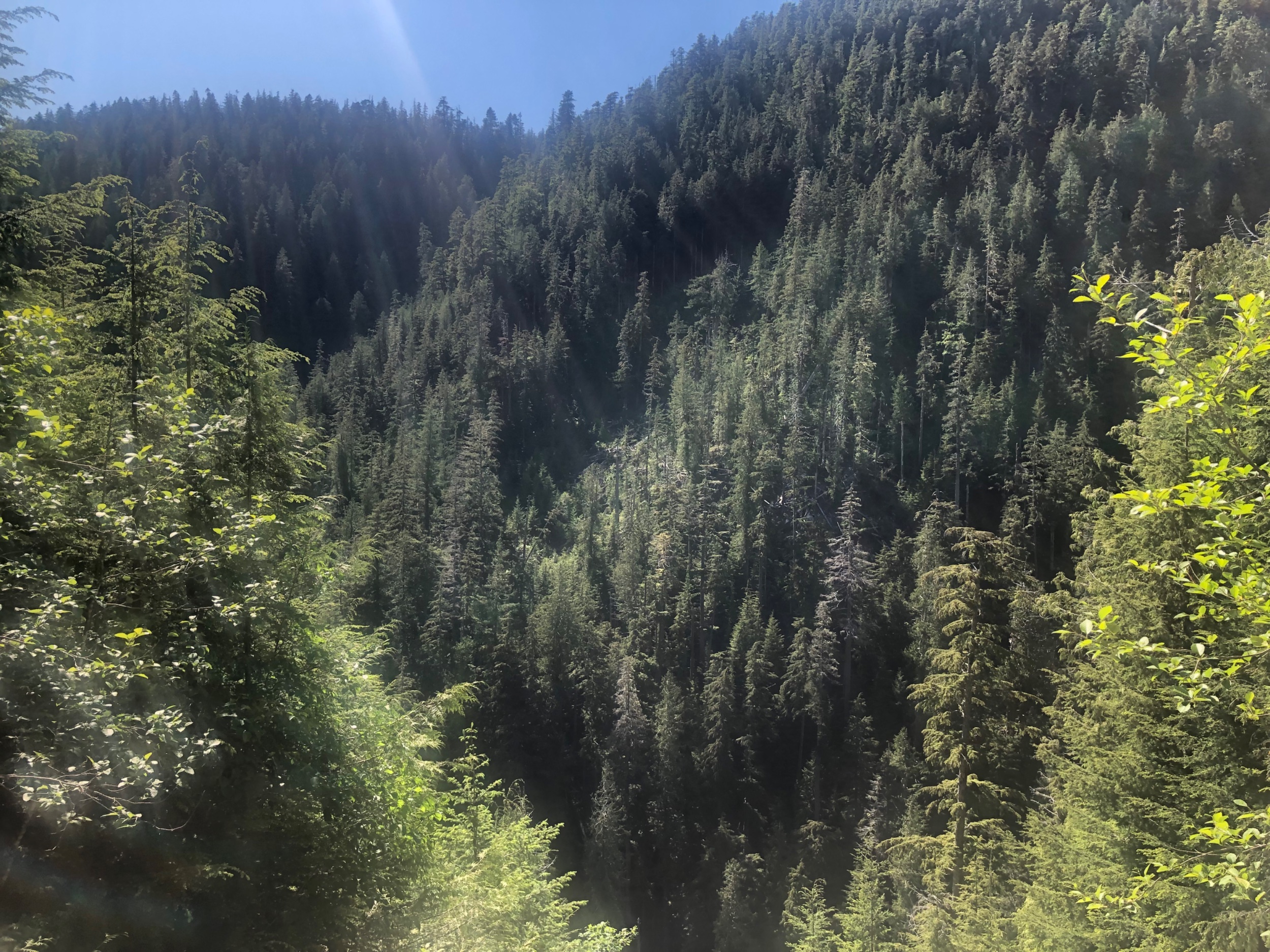 IMG_9078.jpeg