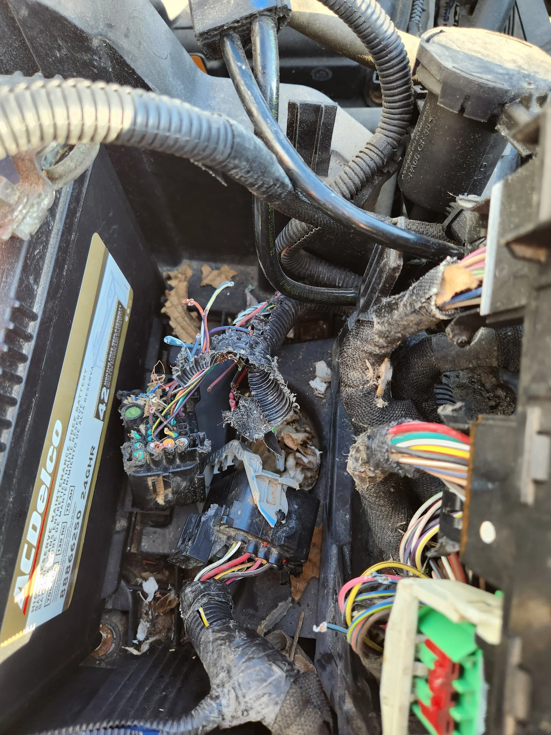 jeep3.webp