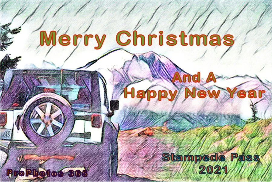 Merry Christmas.webp