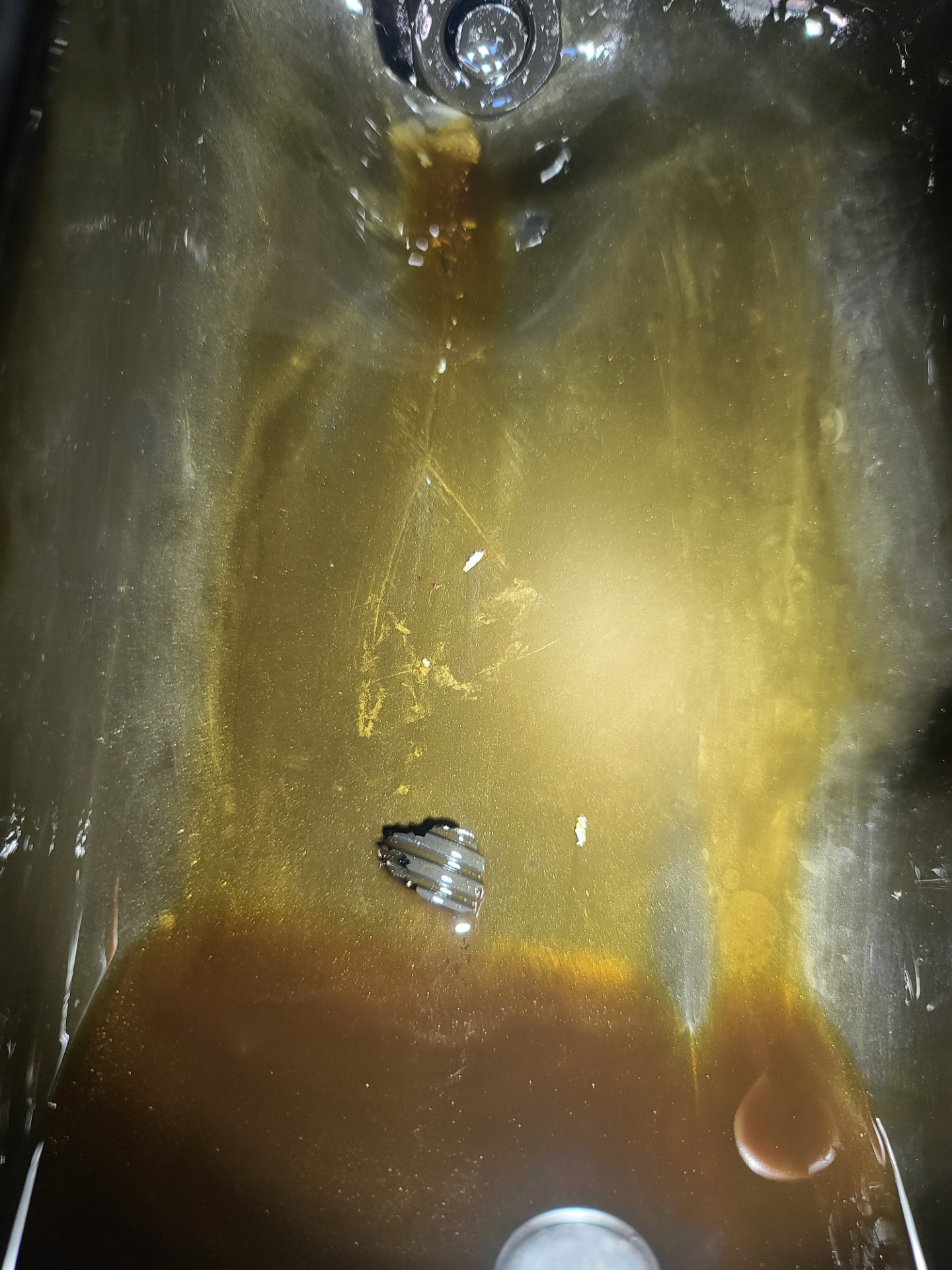 METAL IN PAN SALEMI 2.jpg METAL IN PAN SALEMI 2.jpg