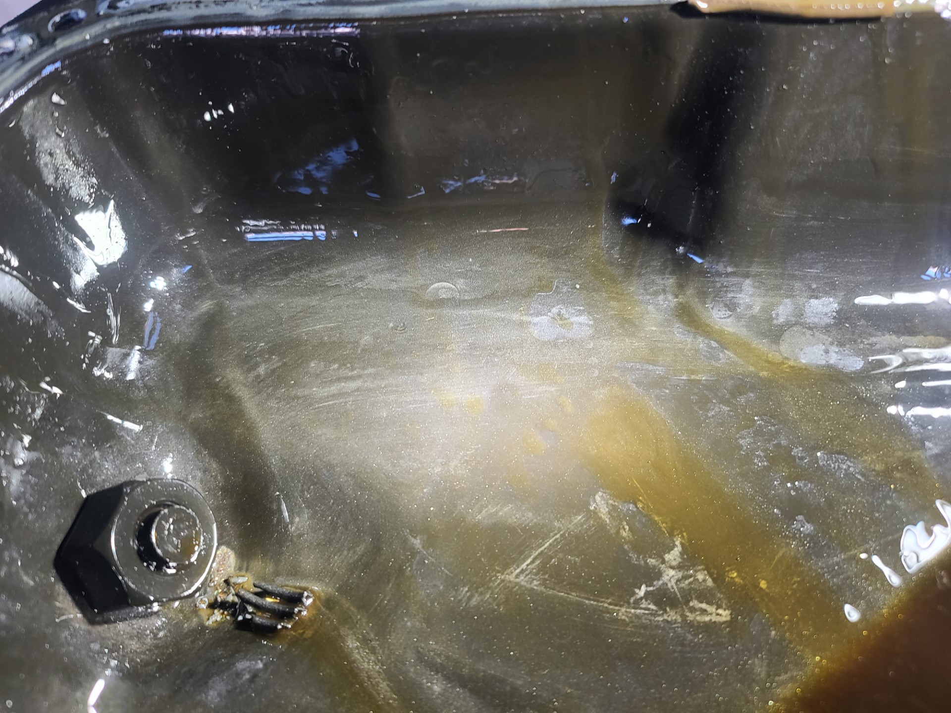 METAL IN PAN SALEMI 4.jpg METAL IN PAN SALEMI 4.jpg