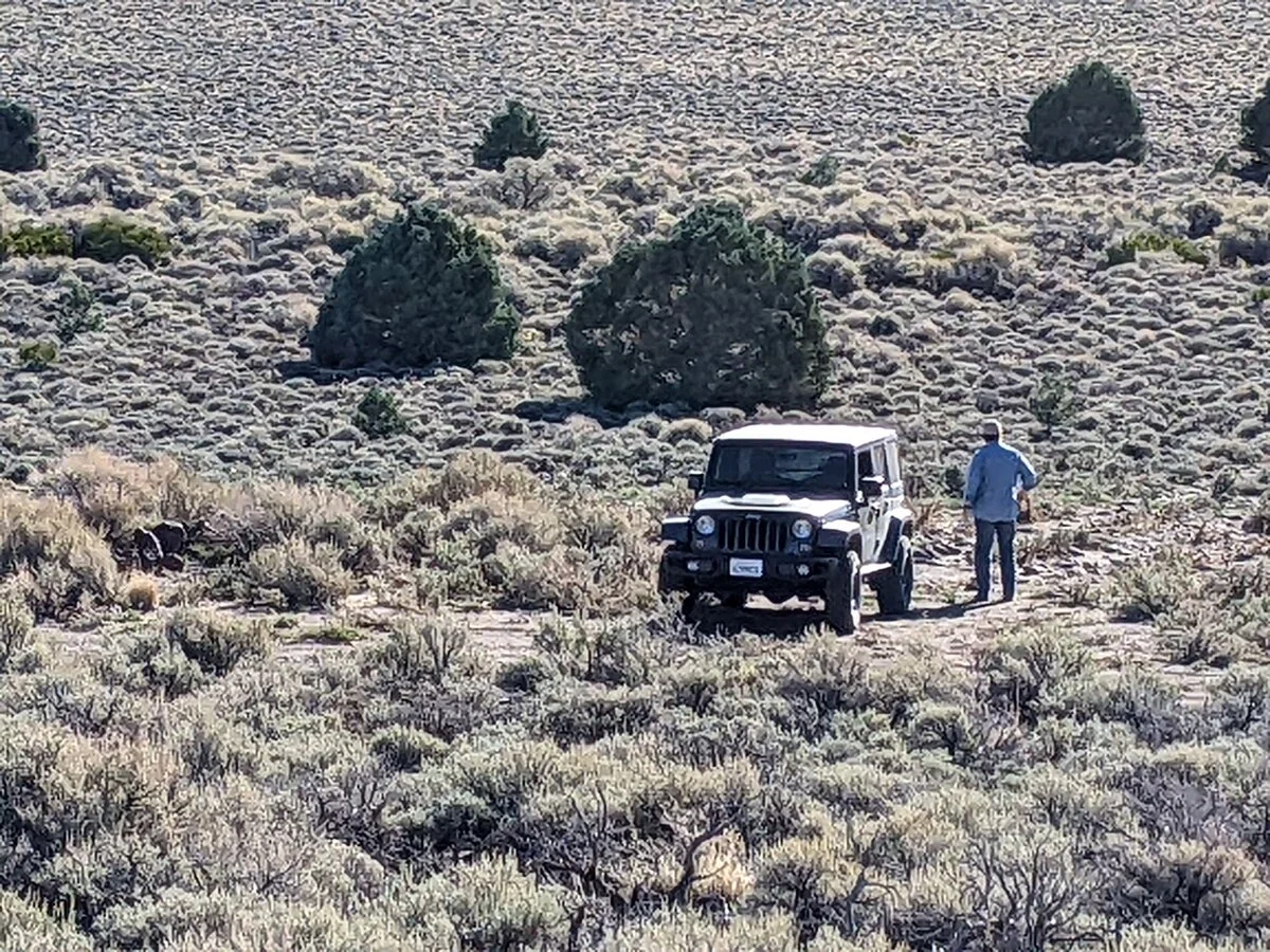 Nevada.webp
