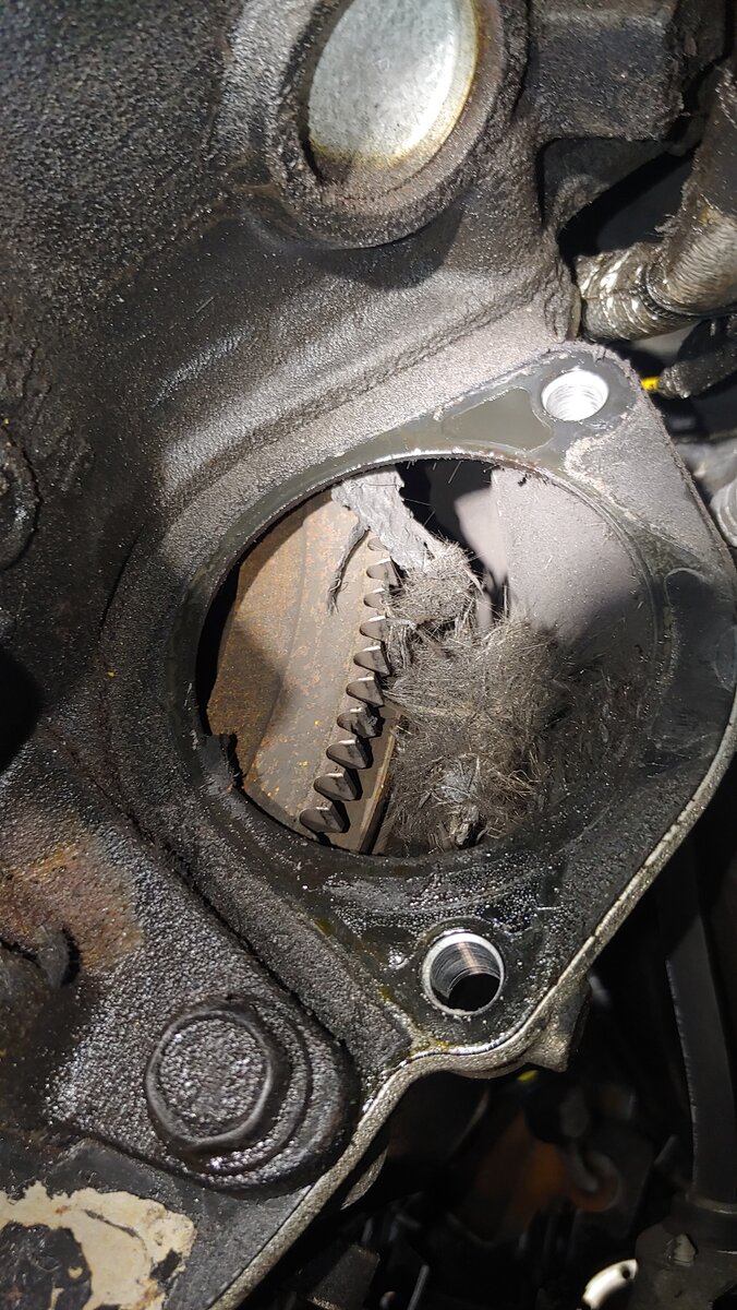 opened up.jpg opened up.jpg