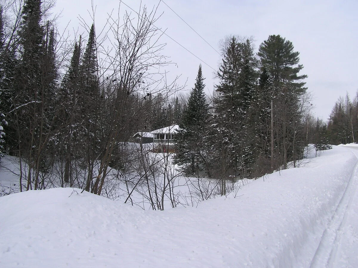 P1010004.webp