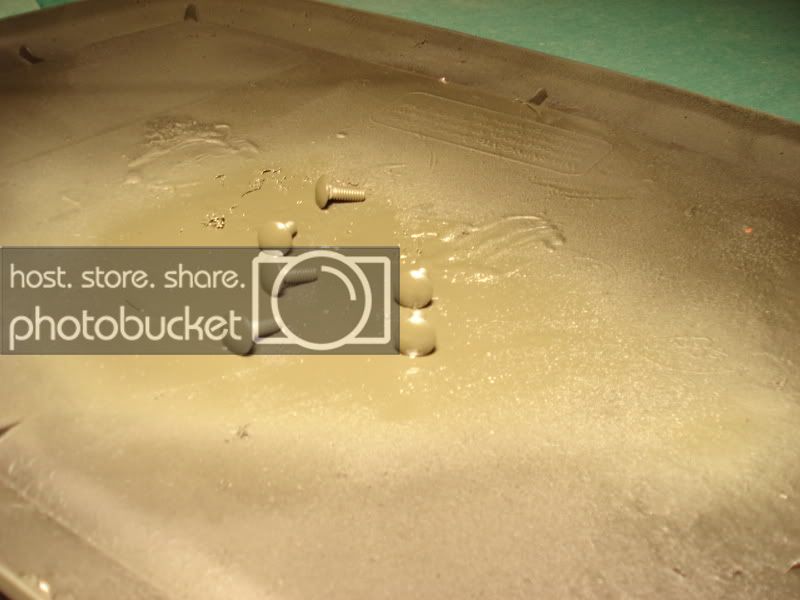 Paintedcarriagebolts.jpg Paintedcarriagebolts.jpg