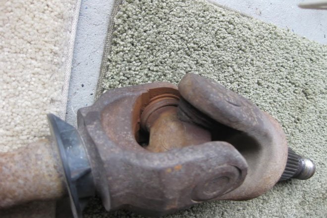 Picture2632-118649.jpg Picture2632-118649.jpg