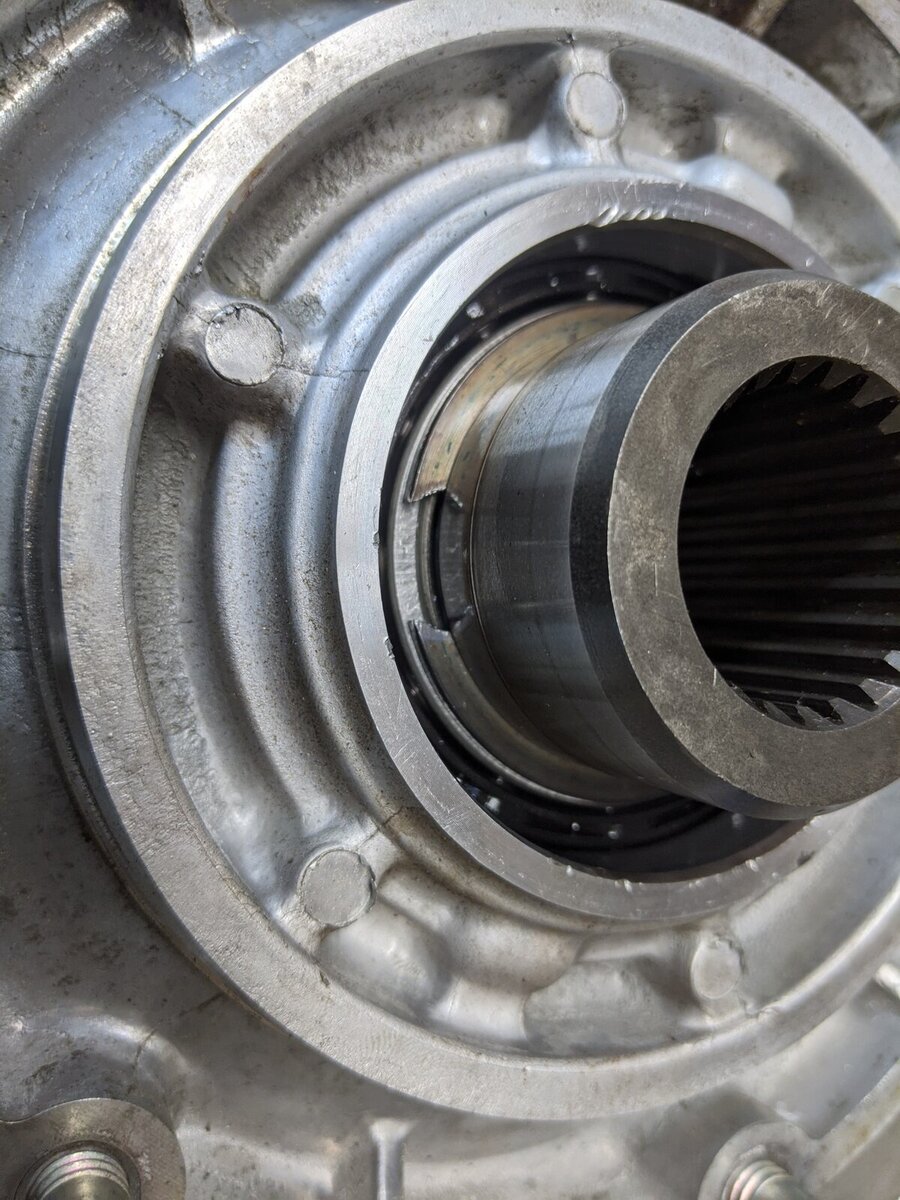 pxl_20201030_025018848-jpg-jpg.jpg pxl_20201030_025018848-jpg-jpg.jpg