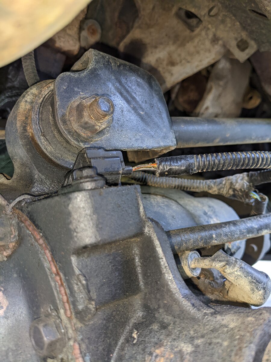 PXL_20220508_185529904.jpg