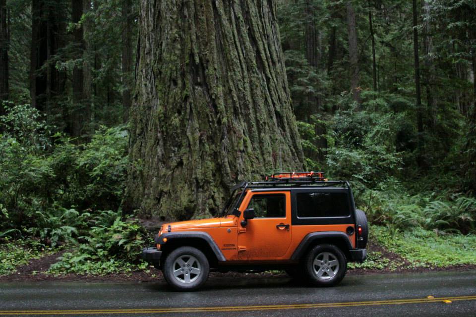 roof rack.jpg roof rack.jpg