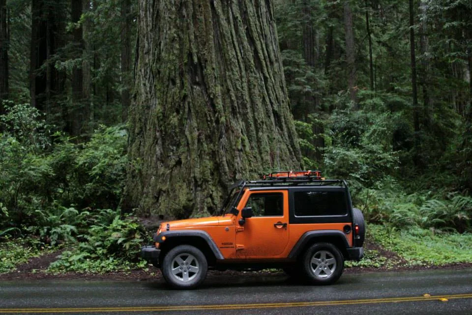 roof rack.jpg
