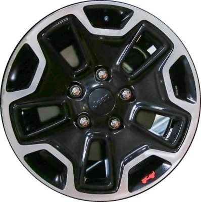rubicon_10th_ann_rim_lg.webp