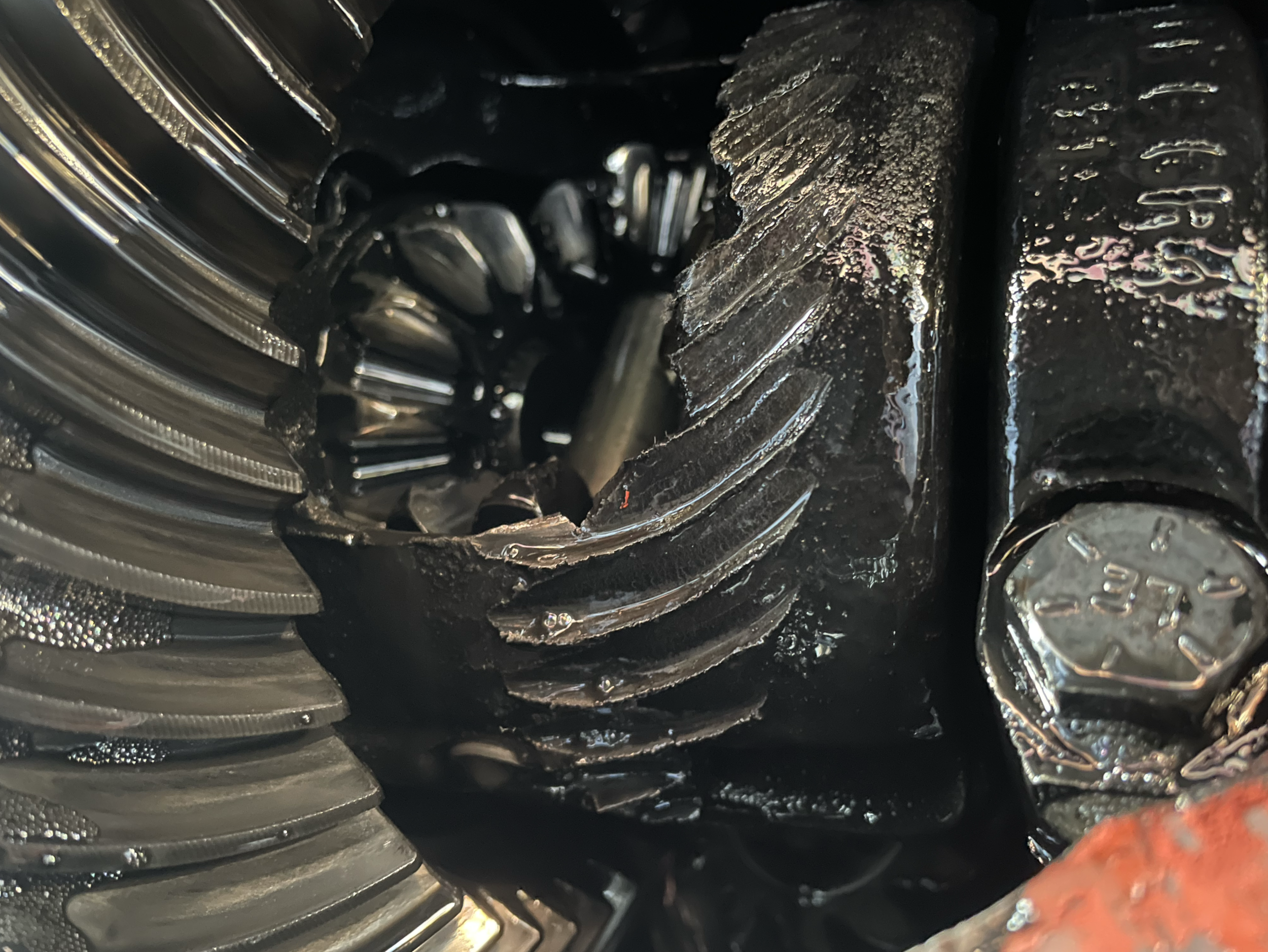 Screenshot 2024-02-03 at 7.31.51 PM.png Screenshot 2024-02-03 at 7.31.51 PM.png