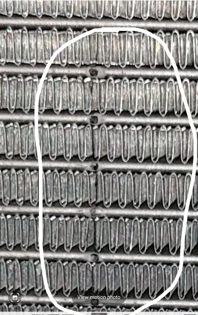 Screenshot_20221028-174812_Gallery.webp