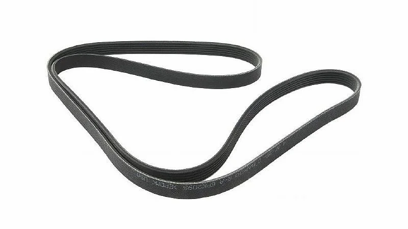 Serpentine-Belt-BEAUTYEST-SHOT-122055.webp
