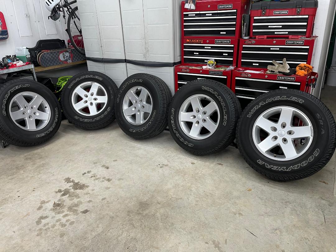 thumbnail.jpeg thumbnail.jpeg