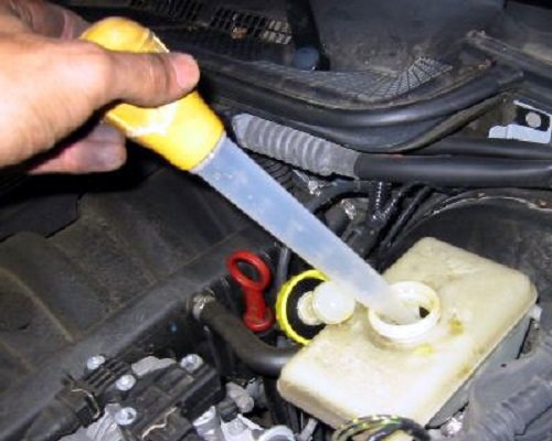 turkey_baster-115615.jpg turkey_baster-115615.jpg