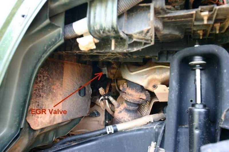 wrangleregrvalvelocationcorrect-116661.webp