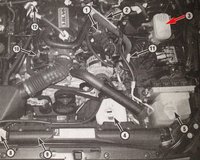 Brake-Bleed-02-116173.jpg