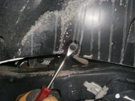Clip-Removal-114625.webp