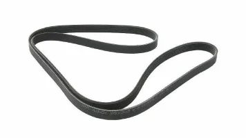 Serpentine-Belt-BEAUTYEST-SHOT-122055.webp