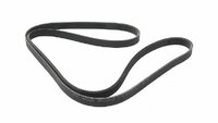 Serpentine-Belt-BEAUTYEST-SHOT-122055.jpg