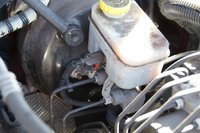 DSC00058-117660.jpg