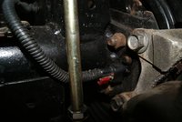 DSC03419-118686.jpg