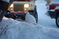DSC_00942406.JPG