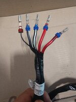 IMG_20200714_160939724.jpg