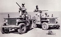 OIP (3).jpg