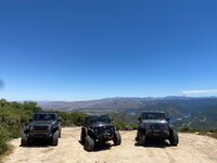 All of our Jeeps.jpg