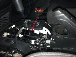 Bulb 1.jpg