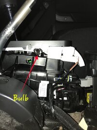 Bulb2.jpg