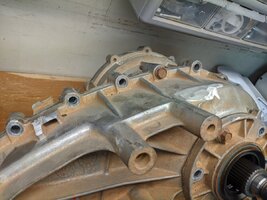 pxl_20201029_175016602-jpg-jpg.jpg