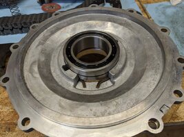 pxl_20201108_222545168-jpg-jpg.jpg