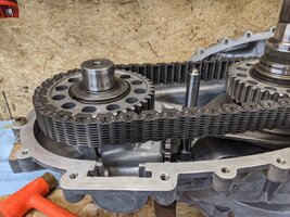 pxl_20201110_160347121-jpg-jpg.jpg