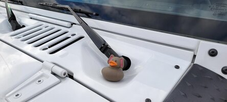 Ducked.jpg