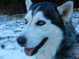 2BD8C527-6528-4280-ACE6-300625996363.webp