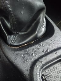IMG_20220705_175525846.jpg
