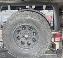 IMG_3766.jpeg